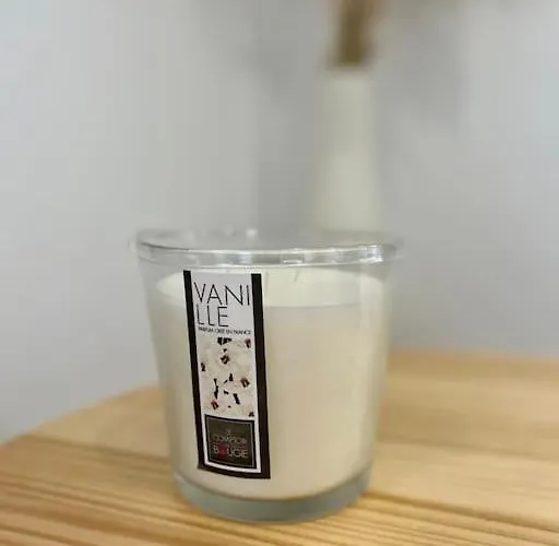 Apartament Le Petit Rameau - T2 Hypercentre