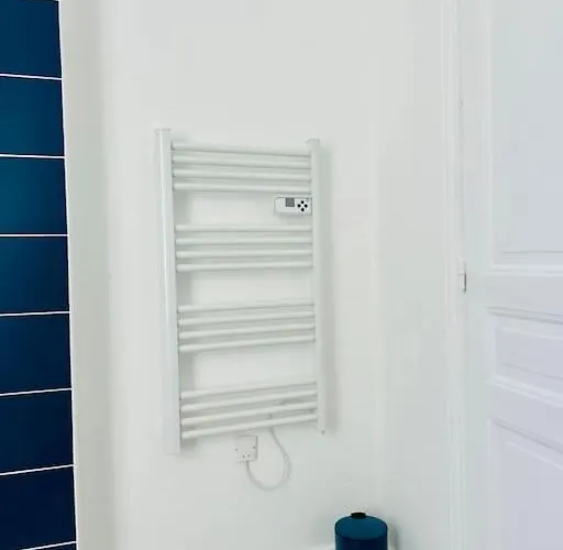 Le Petit Rameau - T2 Hypercentre