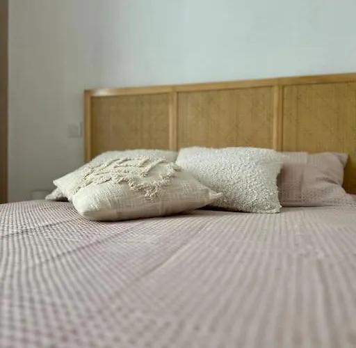 Apartament Le Petit Rameau - T2 Hypercentre